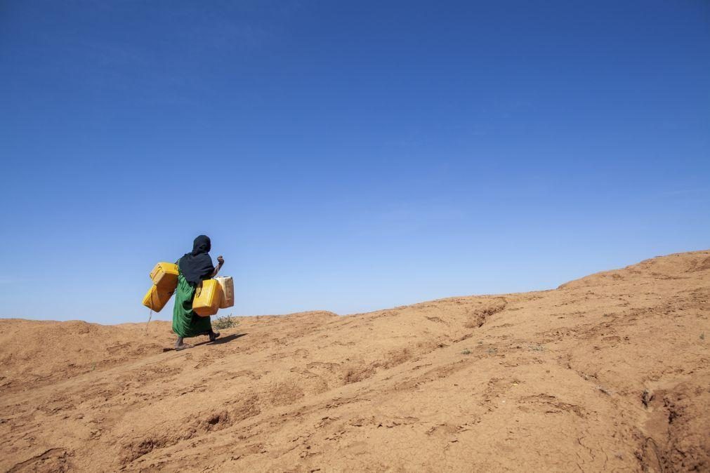 Treze milhões de pessoas passam fome no Corno de África devido à seca