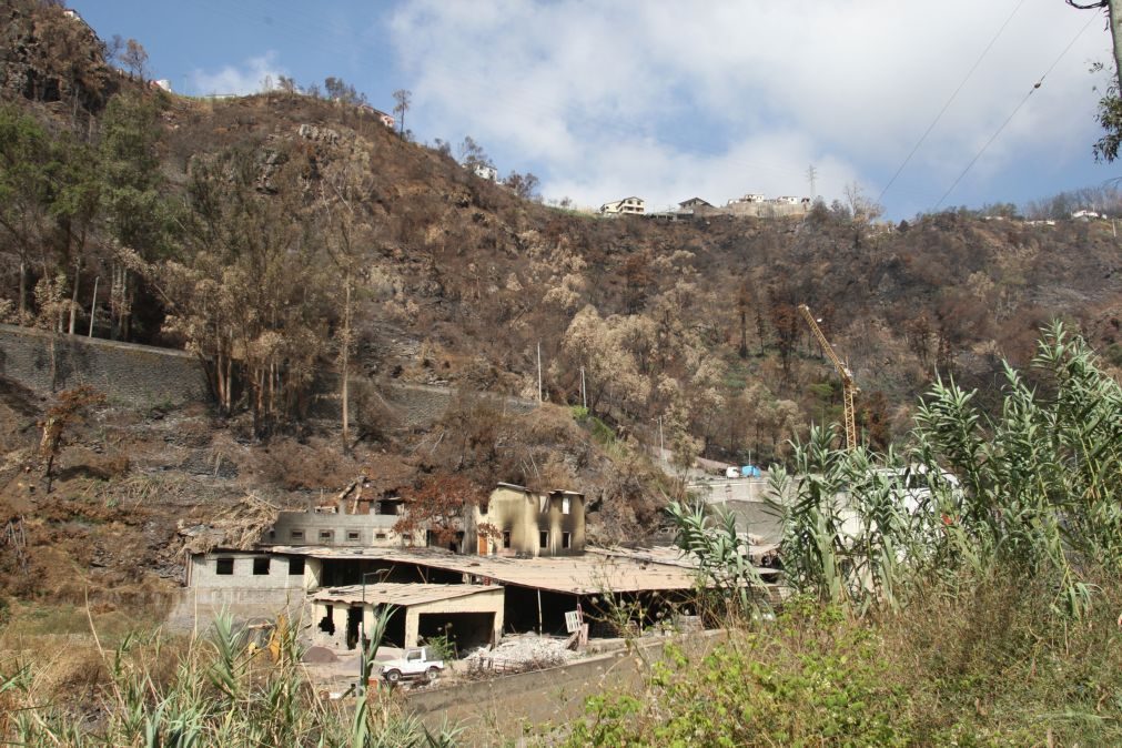 Madeira já desencadeou operações de limpeza em 230 hectares de terrenos florestais