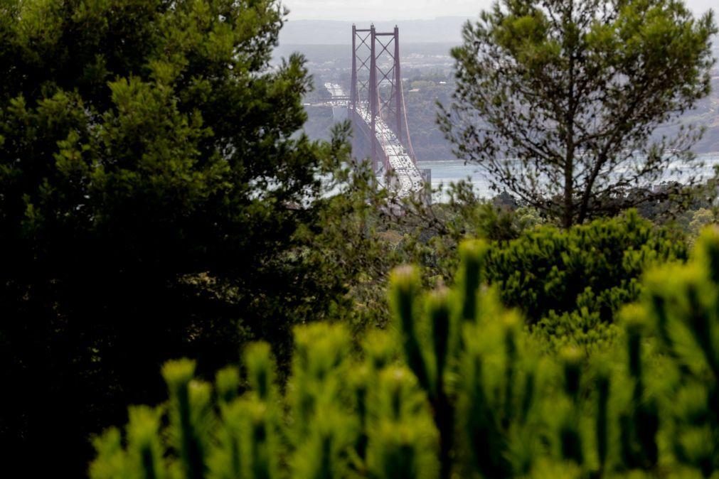 Buzinão na Ponte 25 de Abril contra preços dos combustíveis