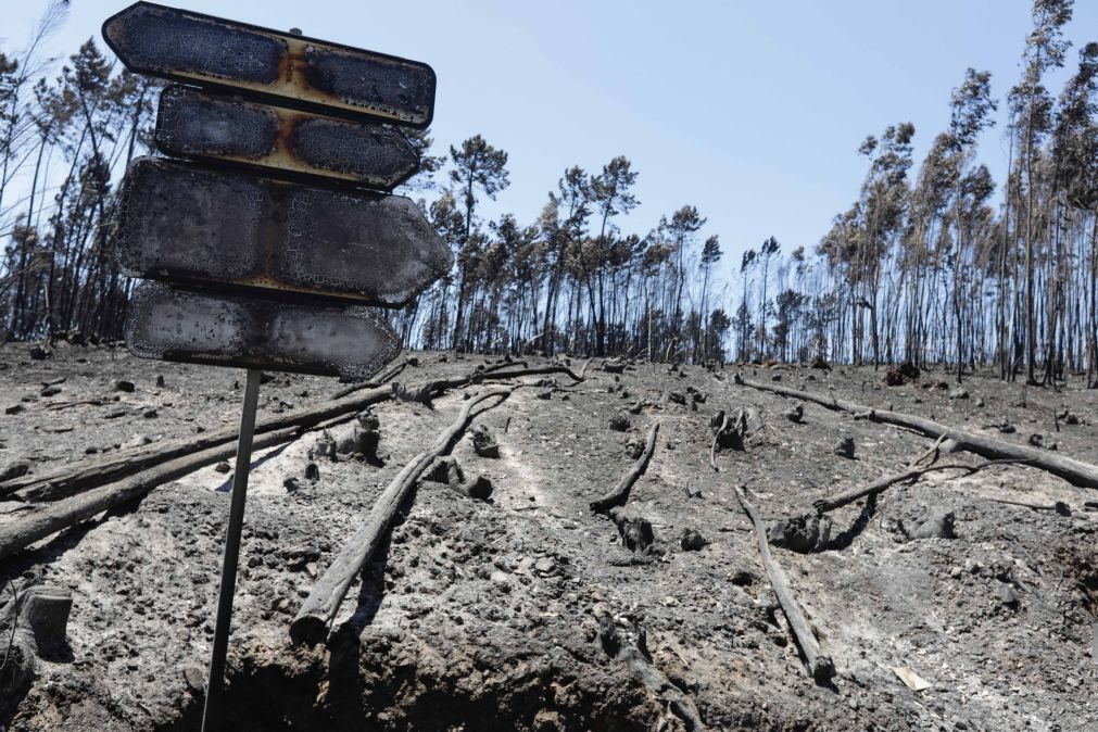 Bruxelas disponibiliza 45 ME para ajudar centro de Portugal a recuperar de incêndios