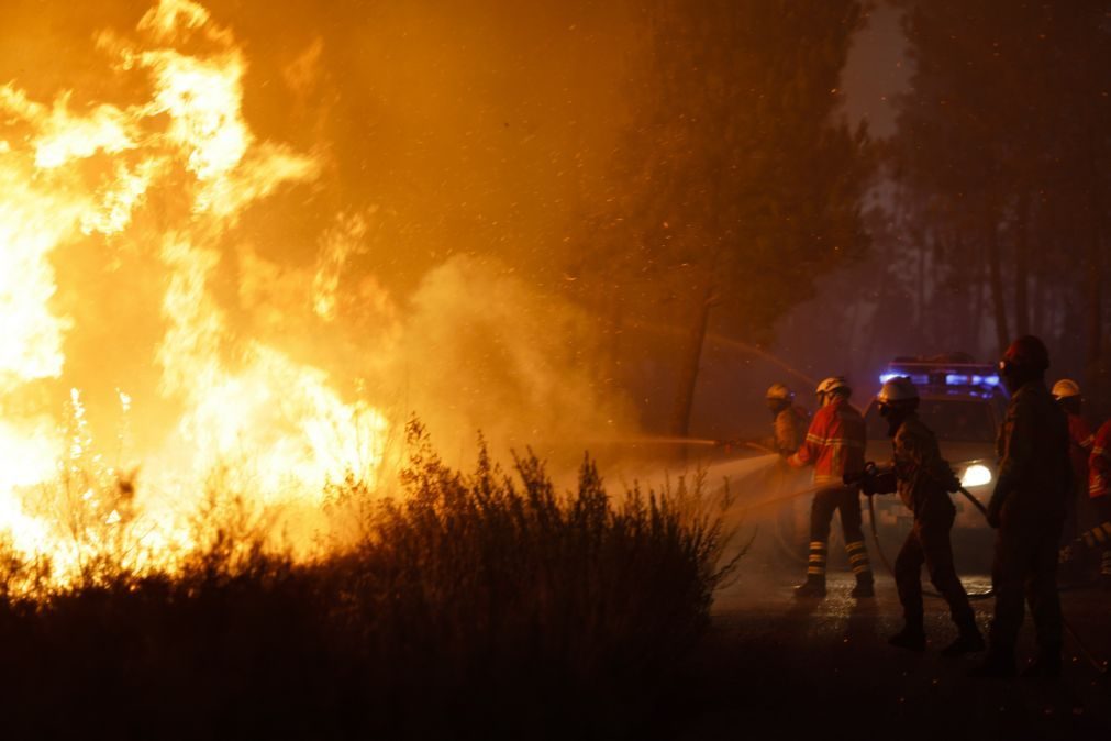 Incêndios: Mais de mil operacionais combatem fogos em cinco distritos