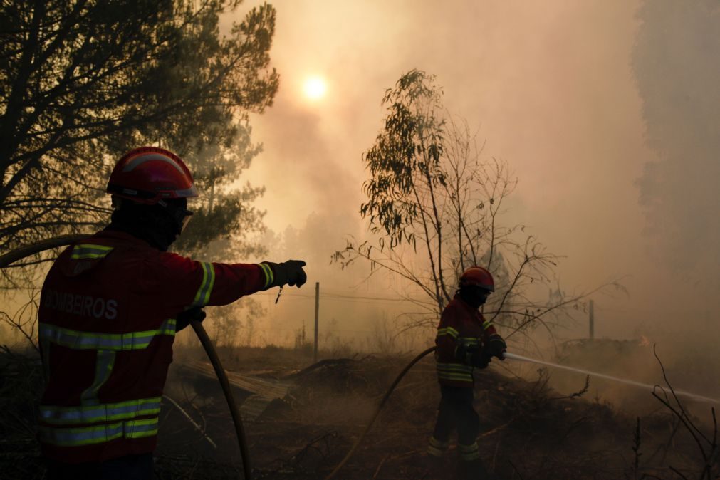 Incêndios: Mais de 800 operacionais combatem fogos em quatro distritos