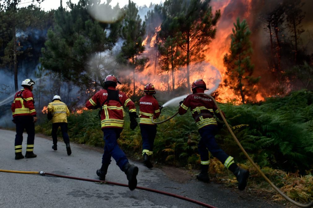 Incêndios: Número de detidos quase duplicou face a 2016