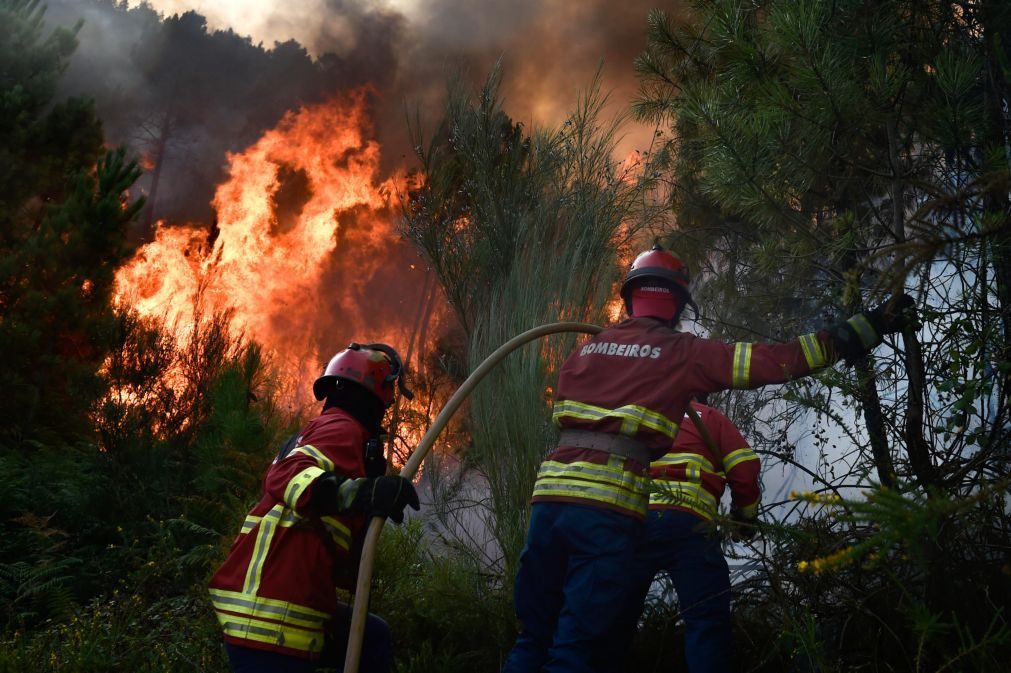 Incêndios: Dois meios aéreos reforçam combate ao fogo de Vilela, Sabrosa