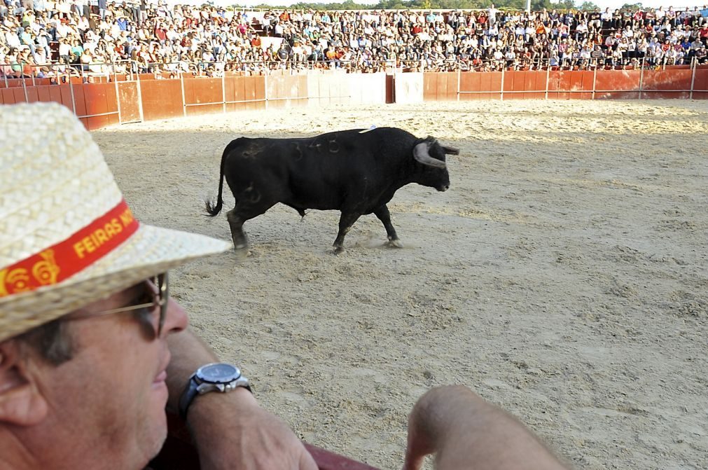 Federação Portuguesa de Tauromaquia nega que atividade receba subsídios públicos